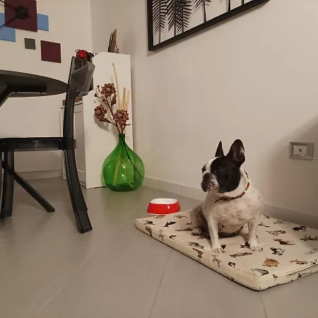 Civico22 Apartment