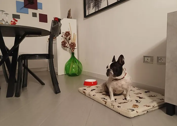 Civico22 アパート